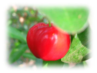 �Ԃ����n�����A�Z����