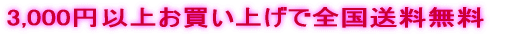 3,000~ȏエグőS